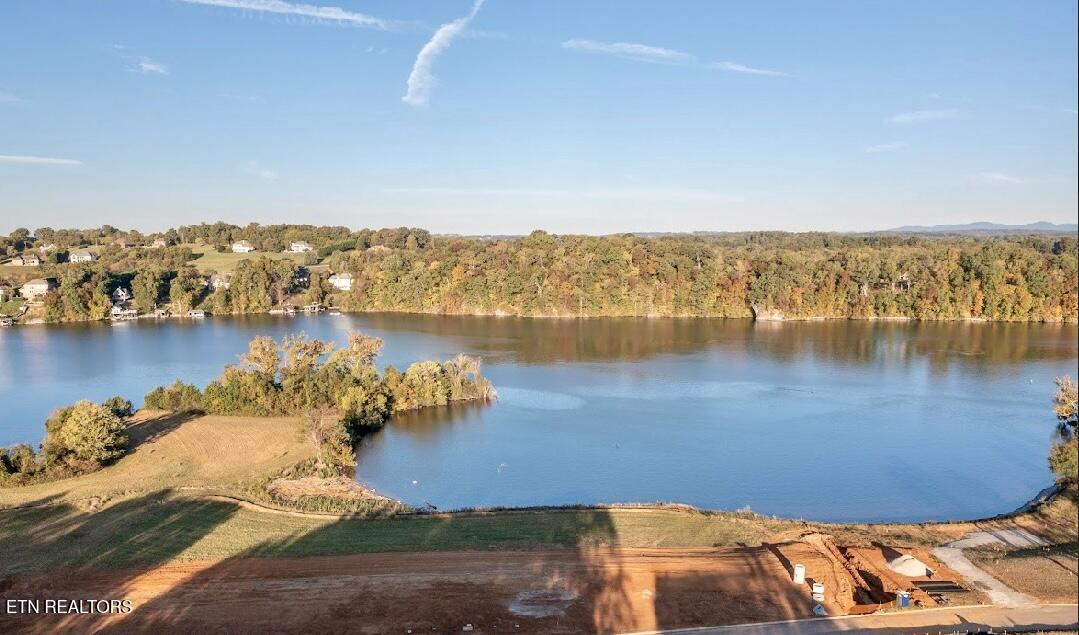 419 Arcadia Peninsula Way