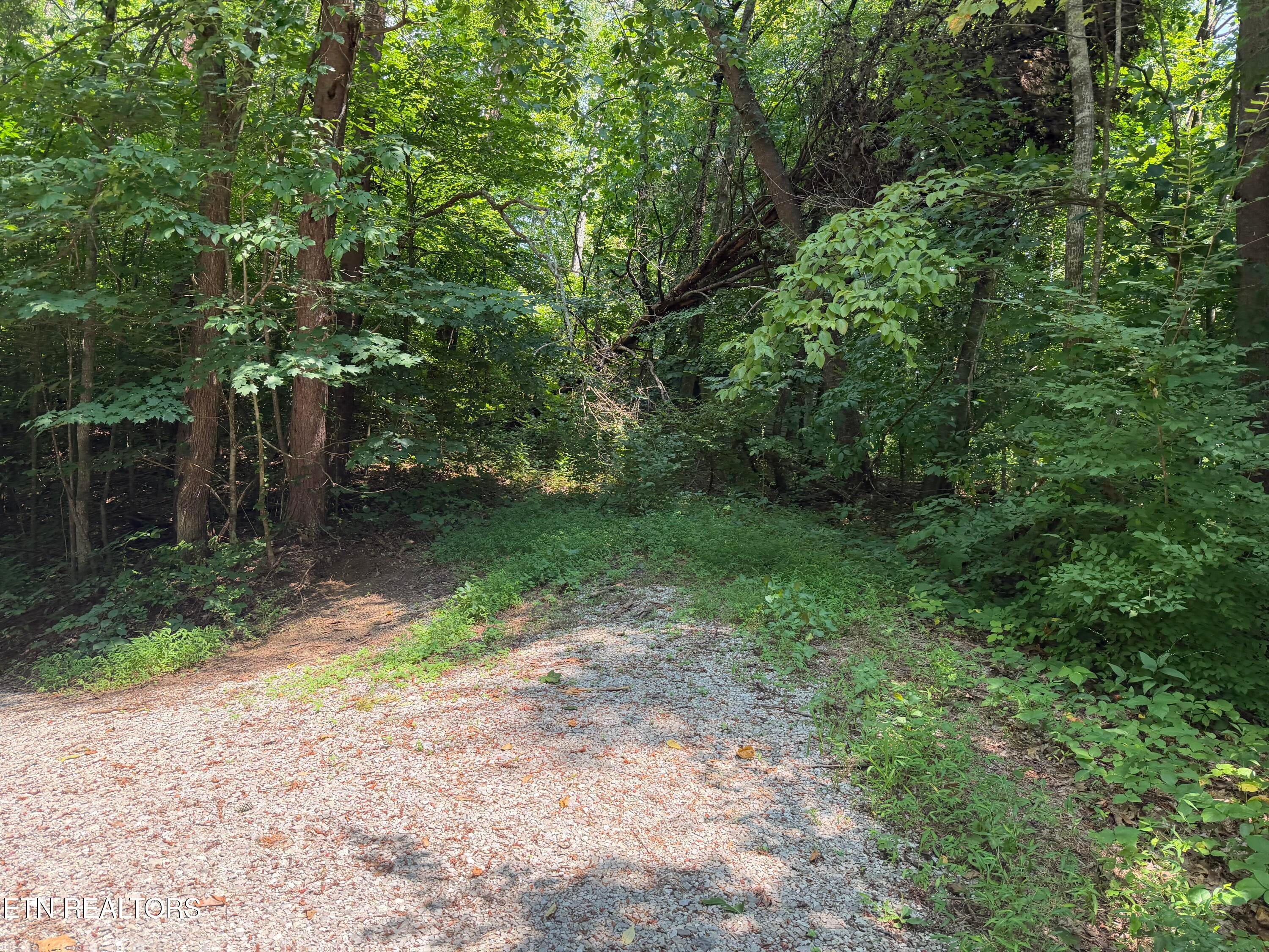2544 Hinds Creek Rd