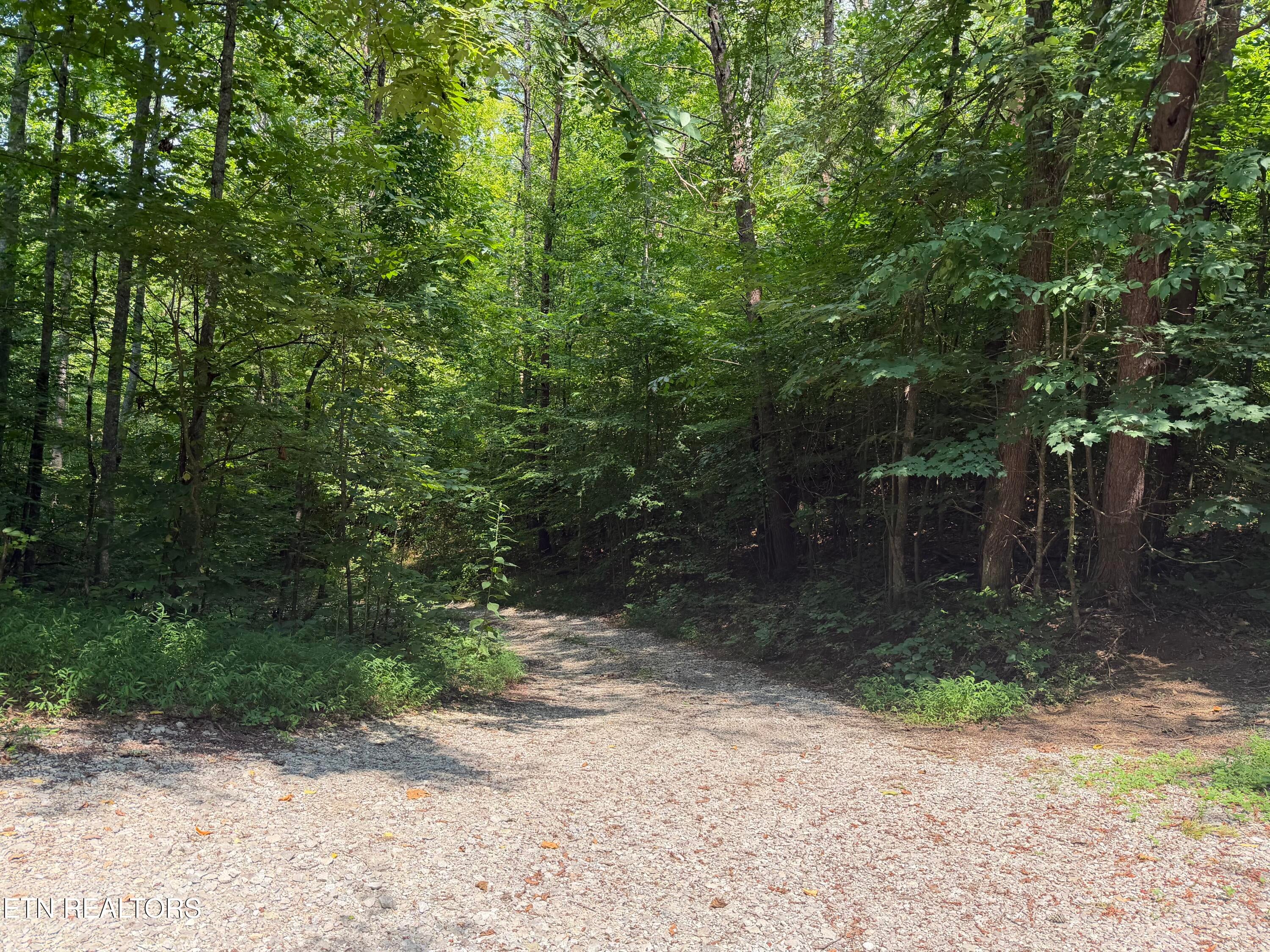 2544 Hinds Creek Rd