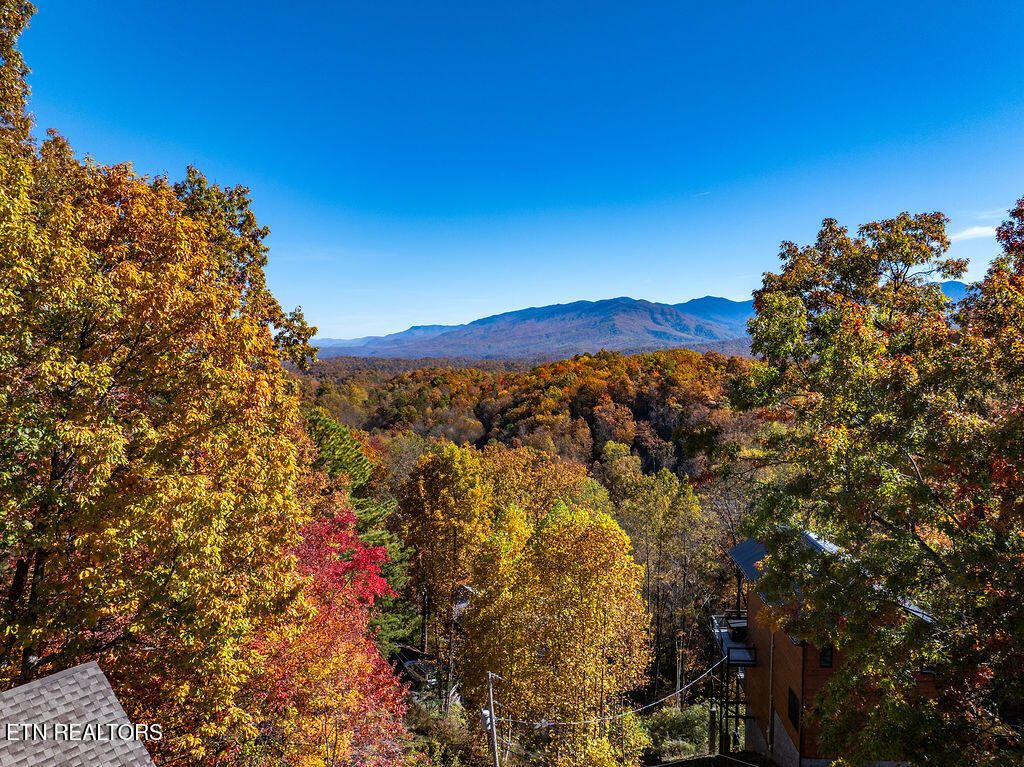Photo of 1106 Tanrac Tr, Gatlinburg, TN 37738 (MLS # 1322084)