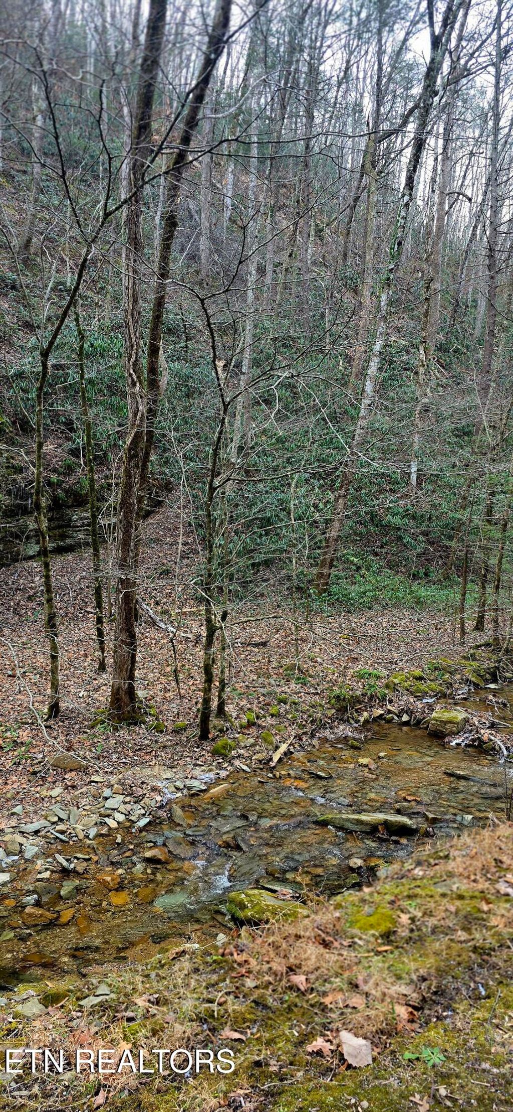 Photo of N Clear Fork Rd, Sevierville, TN 37862 (MLS # 1328656)