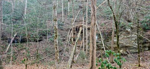 Tiny photo for N Clear Fork Rd, Sevierville, TN 37862 (MLS # 1328656)