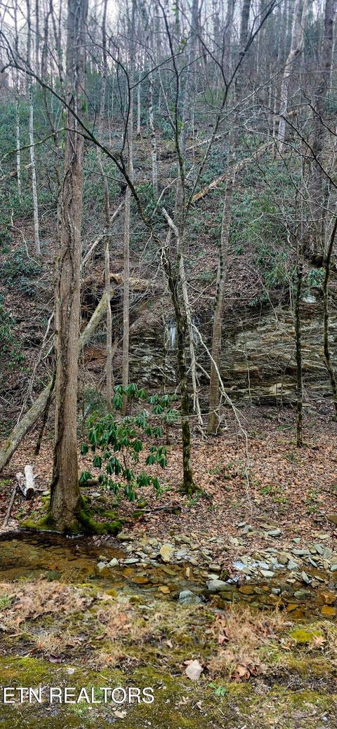 Tiny photo for N Clear Fork Rd, Sevierville, TN 37862 (MLS # 1328656)