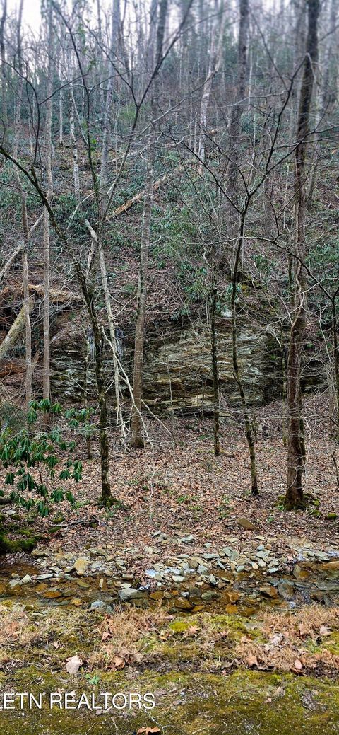 Tiny photo for N Clear Fork Rd, Sevierville, TN 37862 (MLS # 1328656)