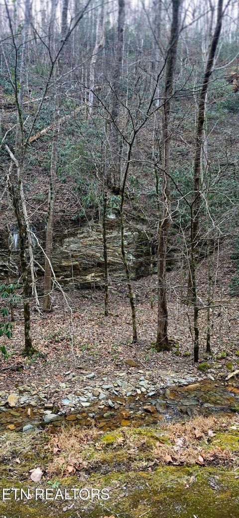 Tiny photo for N Clear Fork Rd, Sevierville, TN 37862 (MLS # 1328656)