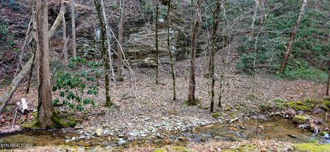 Tiny photo for N Clear Fork Rd, Sevierville, TN 37862 (MLS # 1328656)