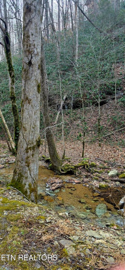 Tiny photo for N Clear Fork Rd, Sevierville, TN 37862 (MLS # 1328656)