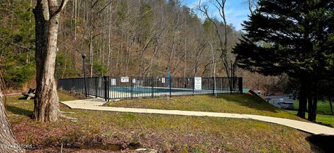 Tiny photo for N Clear Fork Rd, Sevierville, TN 37862 (MLS # 1328656)