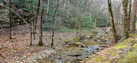 Tiny photo for N Clear Fork Rd, Sevierville, TN 37862 (MLS # 1328656)