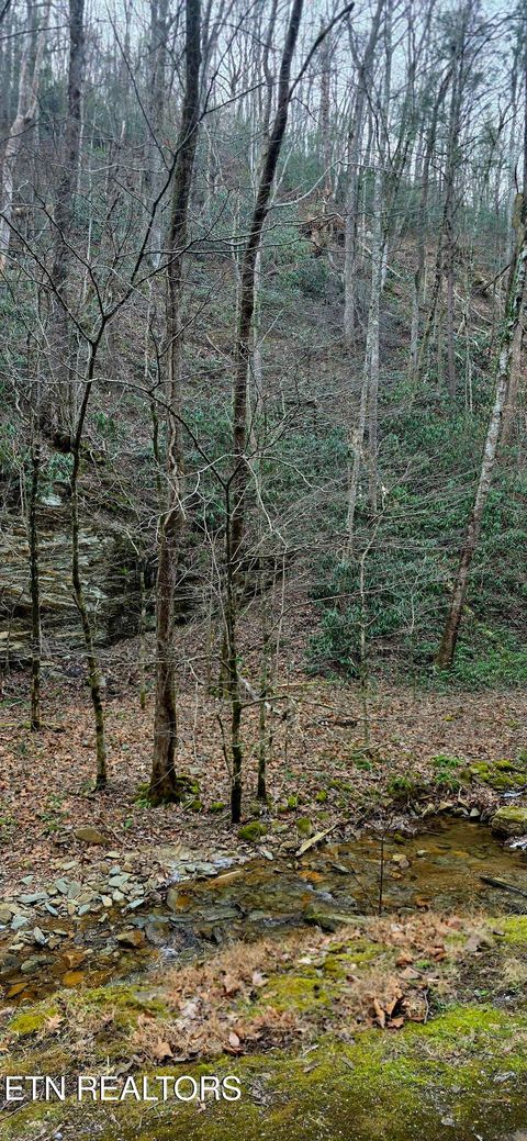 Tiny photo for N Clear Fork Rd, Sevierville, TN 37862 (MLS # 1328656)