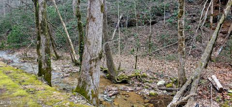 Tiny photo for N Clear Fork Rd, Sevierville, TN 37862 (MLS # 1328656)