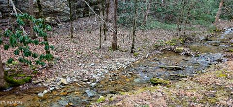 Photo of N Clear Fork Rd, Sevierville, TN 37862 (MLS # 1328656)