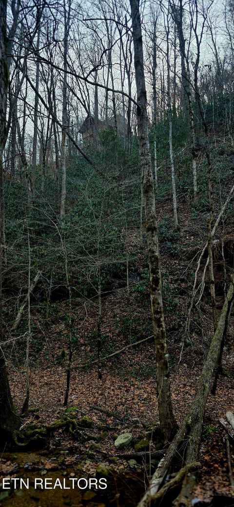 Tiny photo for N Clear Fork Rd, Sevierville, TN 37862 (MLS # 1328656)