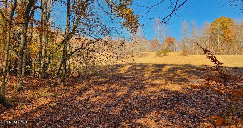 Photo of 10414 Petros Hwy, Oliver Springs, TN 37840 (MLS # 1354524)