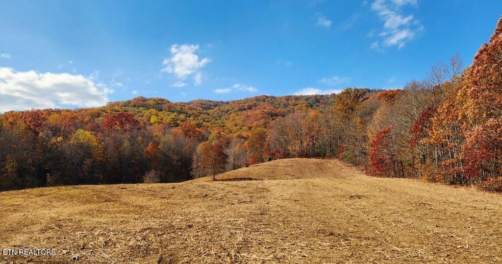 Photo of 10414 Petros Hwy, Oliver Springs, TN 37840 (MLS # 1354524)