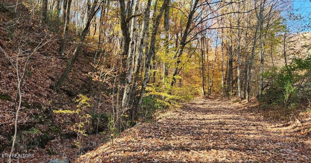 Photo of 10414 Petros Hwy, Oliver Springs, TN 37840 (MLS # 1354524)