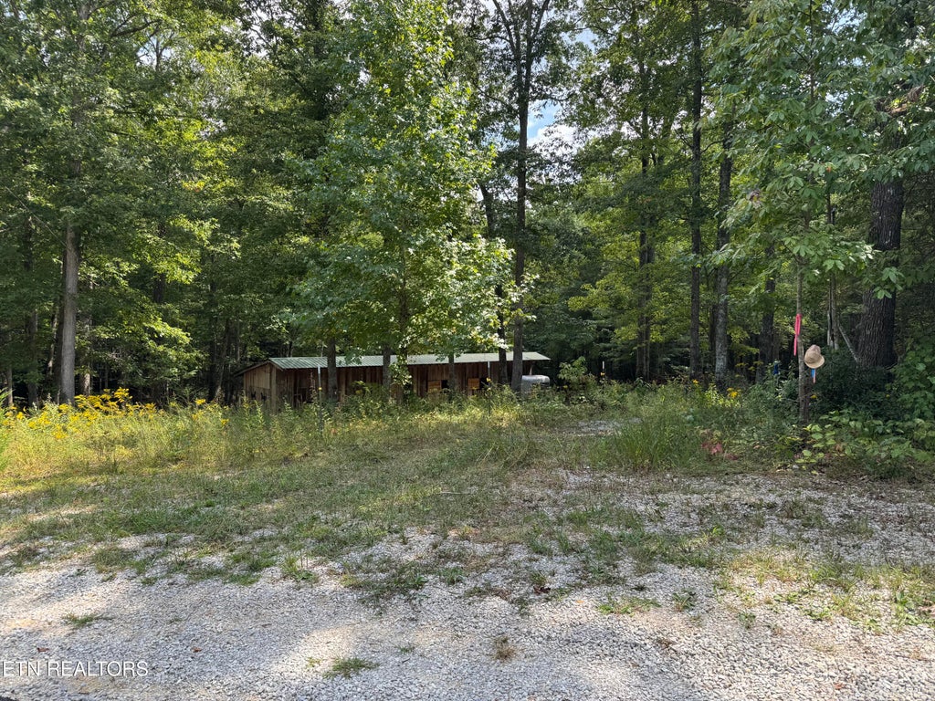 Photo of 837 Bear Hollow Rd, Oneida, TN 37841 (MLS # 1353952)