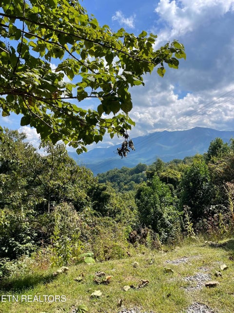 Tiny photo for 1404 S Baden Drive, Gatlinburg, TN 37738 (MLS # 1357797)