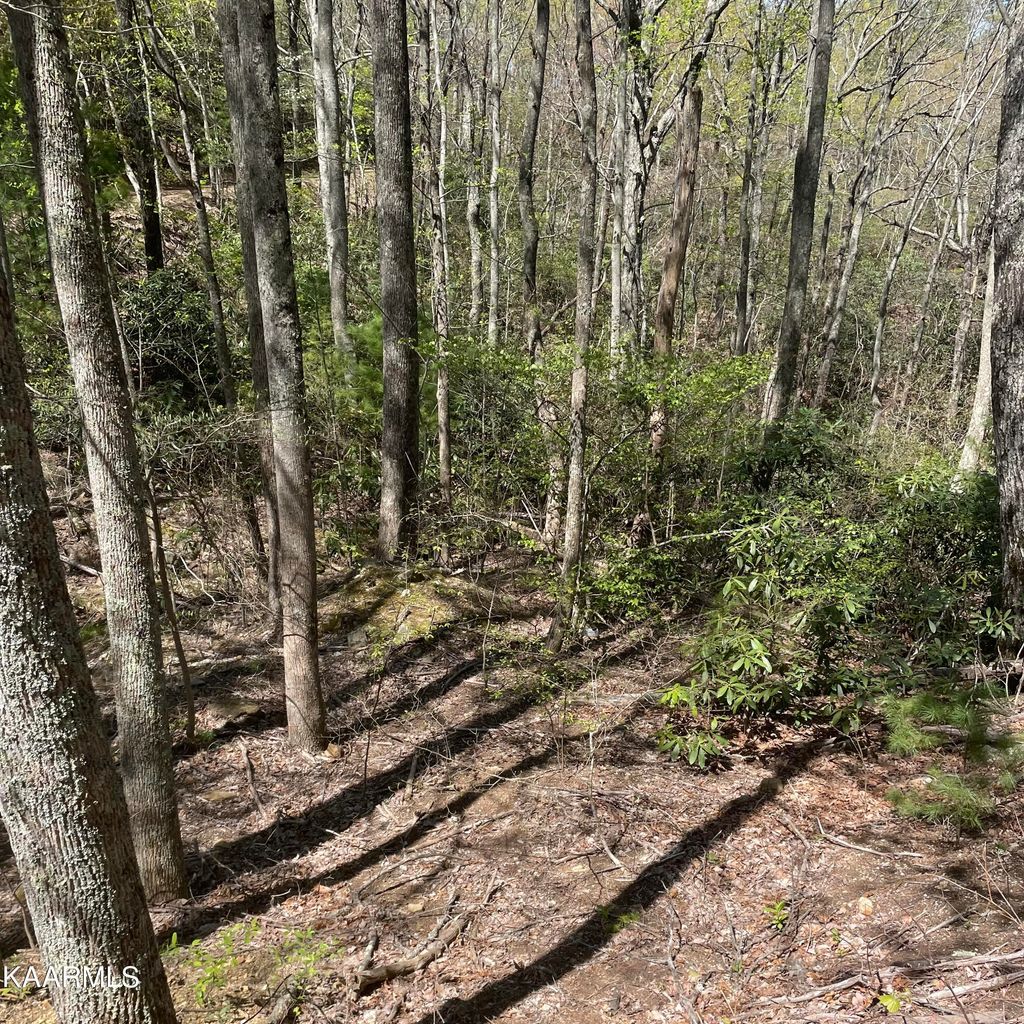 Photo of TBD Rivendell Lane, Tellico Plains, TN 37385 (MLS # 1233147)