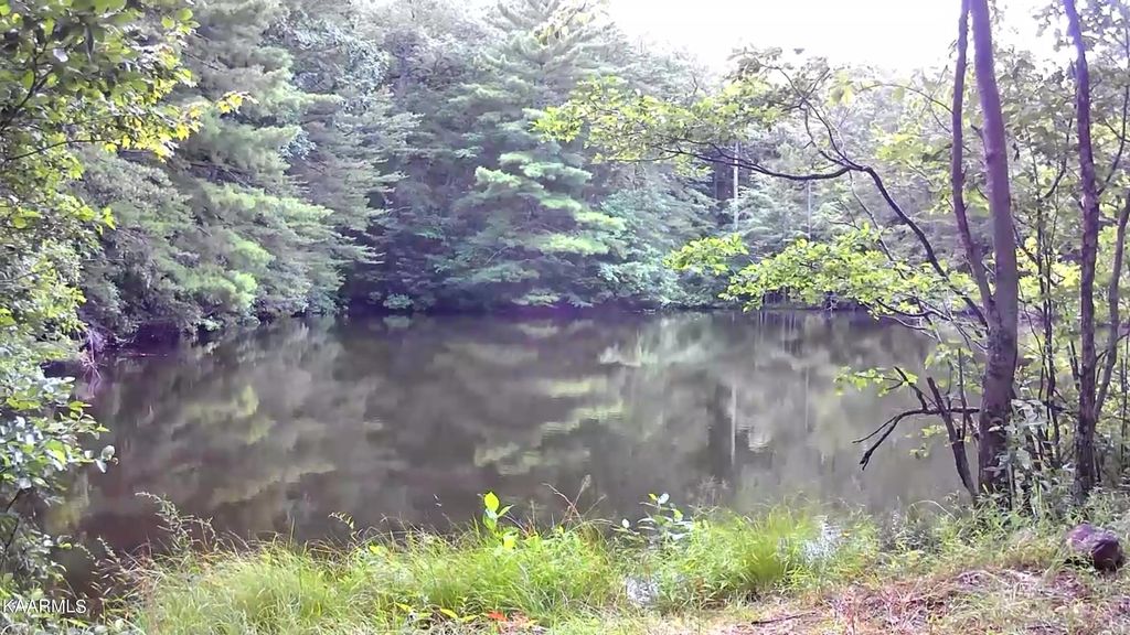 Photo of TBD Rivendell Lane, Tellico Plains, TN 37385 (MLS # 1233147)