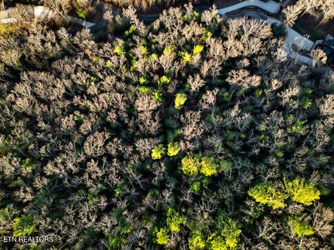 Tiny photo for 514 Chetola Tr, Townsend, TN 37882 (MLS # 1326057)