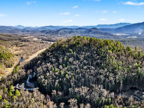 Tiny photo for 514 Chetola Tr, Townsend, TN 37882 (MLS # 1326057)