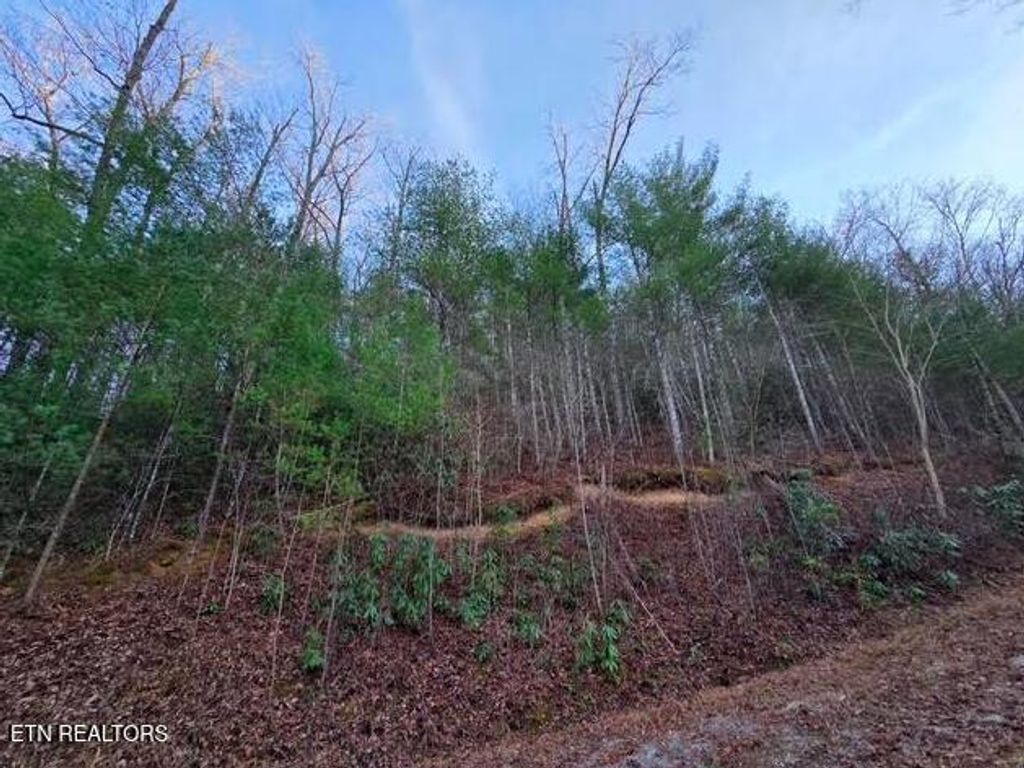 Photo of 514 Chetola Tr, Townsend, TN 37882 (MLS # 1326057)