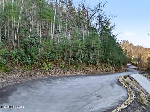 Tiny photo for 514 Chetola Tr, Townsend, TN 37882 (MLS # 1326057)