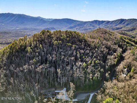 Tiny photo for 514 Chetola Tr, Townsend, TN 37882 (MLS # 1326057)