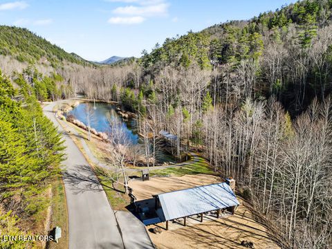 Tiny photo for 514 Chetola Tr, Townsend, TN 37882 (MLS # 1326057)