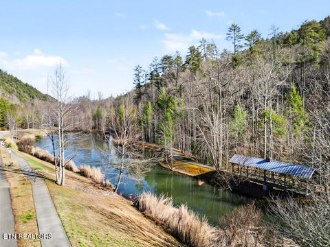 Tiny photo for 514 Chetola Tr, Townsend, TN 37882 (MLS # 1326057)