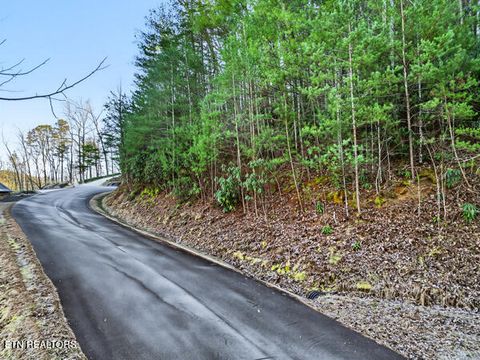 Tiny photo for 514 Chetola Tr, Townsend, TN 37882 (MLS # 1326057)