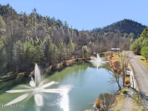 Tiny photo for 514 Chetola Tr, Townsend, TN 37882 (MLS # 1326057)