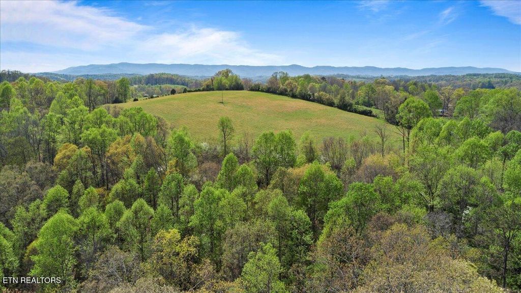 Photo of Old Glory Lane, LaFollette, TN 37766 (MLS # 1296916)