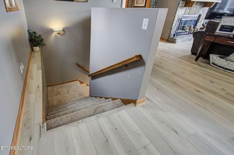 Tiny photo for 110 Little Deer Path Lane, LaFollette, TN 37766 (MLS # 1324573)