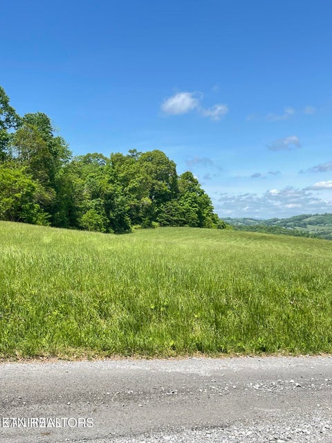 Tiny photo for Bob Wright Rd Lot 17, Maynardville, TN 37807 (MLS # 1349681)