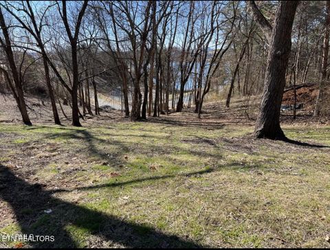 Photo of 300 Southshore Drive, Greenback, TN 37742 (MLS # 1339334)