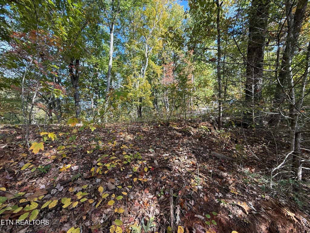 Photo of Old Mtn Rd, Sevierville, TN 37876 (MLS # 1319441)