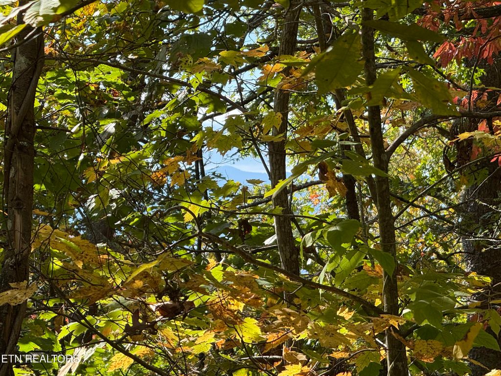 Photo of Old Mtn Rd, Sevierville, TN 37876 (MLS # 1319441)