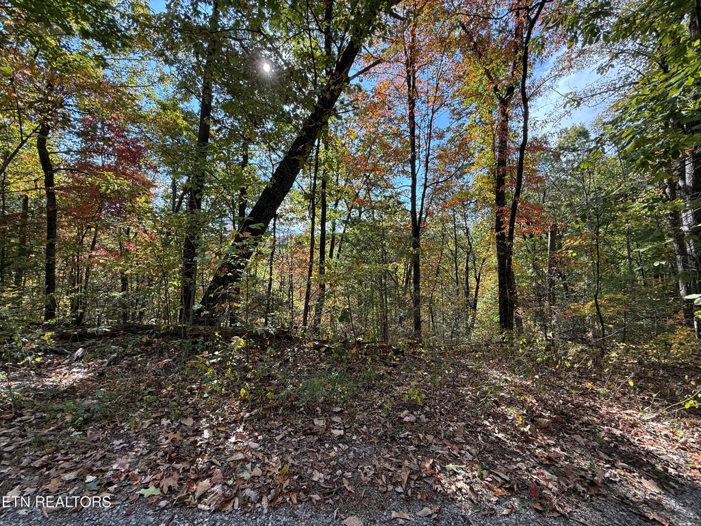 Photo of Old Mtn Rd, Sevierville, TN 37876 (MLS # 1319441)