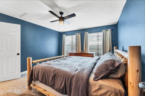 Tiny photo for 544 Nathans Nook Rd, Townsend, TN 37882 (MLS # 1335727)