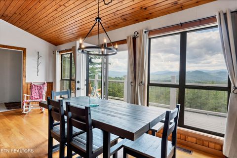 Tiny photo for 544 Nathans Nook Rd, Townsend, TN 37882 (MLS # 1335727)