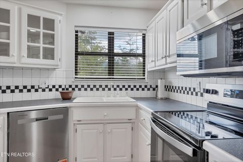 Tiny photo for 544 Nathans Nook Rd, Townsend, TN 37882 (MLS # 1335727)