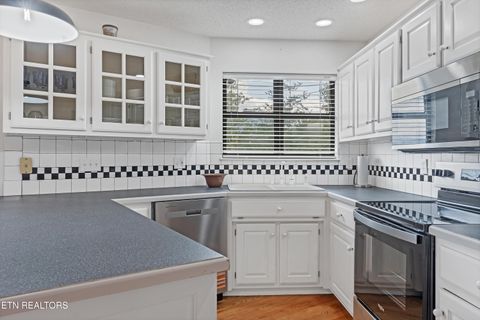 Tiny photo for 544 Nathans Nook Rd, Townsend, TN 37882 (MLS # 1335727)