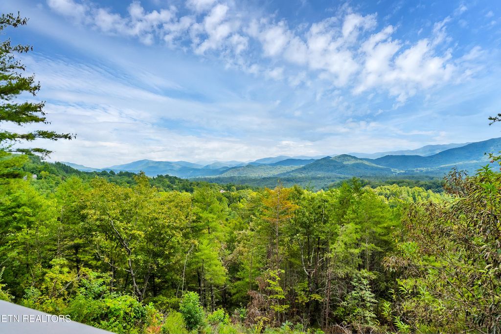 Photo of 544 Nathans Nook Rd, Townsend, TN 37882 (MLS # 1335727)