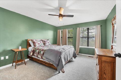 Tiny photo for 544 Nathans Nook Rd, Townsend, TN 37882 (MLS # 1335727)