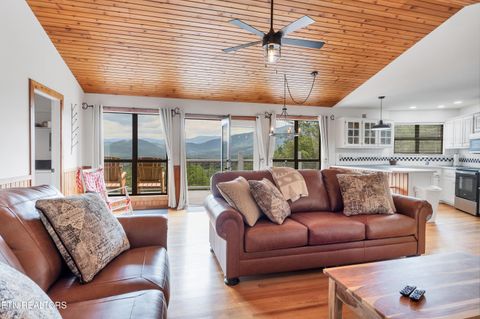 Tiny photo for 544 Nathans Nook Rd, Townsend, TN 37882 (MLS # 1335727)