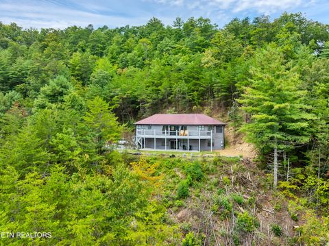 Photo of 544 Nathans Nook Rd, Townsend, TN 37882 (MLS # 1335727)