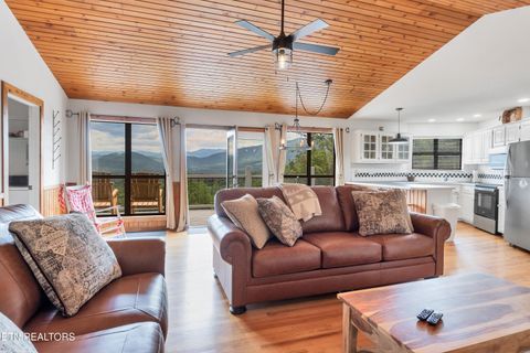 Tiny photo for 544 Nathans Nook Rd, Townsend, TN 37882 (MLS # 1335727)