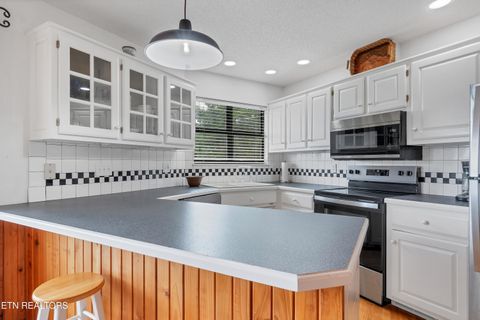 Tiny photo for 544 Nathans Nook Rd, Townsend, TN 37882 (MLS # 1335727)